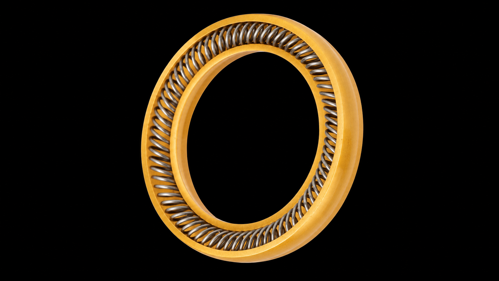 Spring Energized Seals